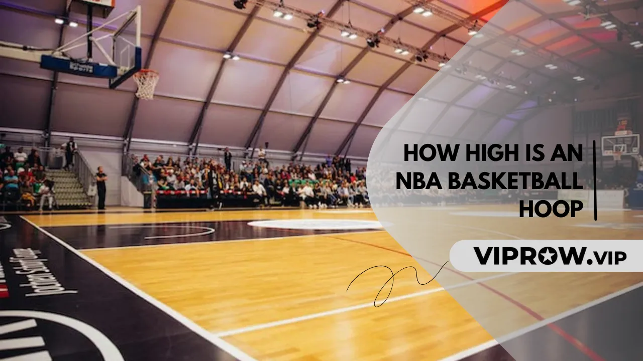How High Is a Basketball Ring? The Complete Guide to Basketball Hoop Heights How High Is a Basketball Ring? The Complete Guide to Basketball Hoop Heights