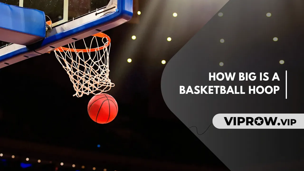 How Big Is a Basketball Hoop? Official Basketball Hoop Size and Backboard Dimensions Explained How Big Is a Basketball Hoop? Official Basketball Hoop Size and Backboard Dimensions Explained