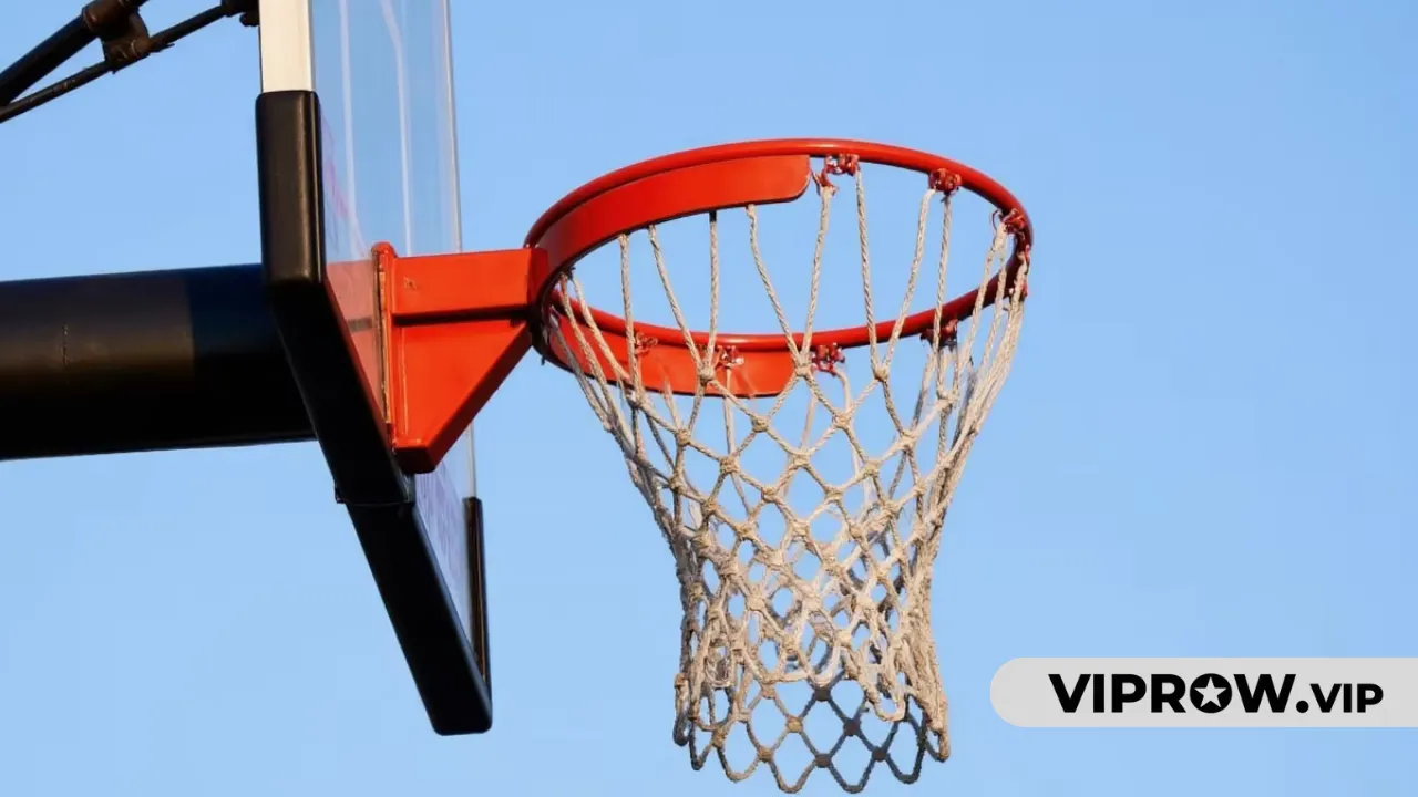 Basketball Hoop Height. Regulation Standards