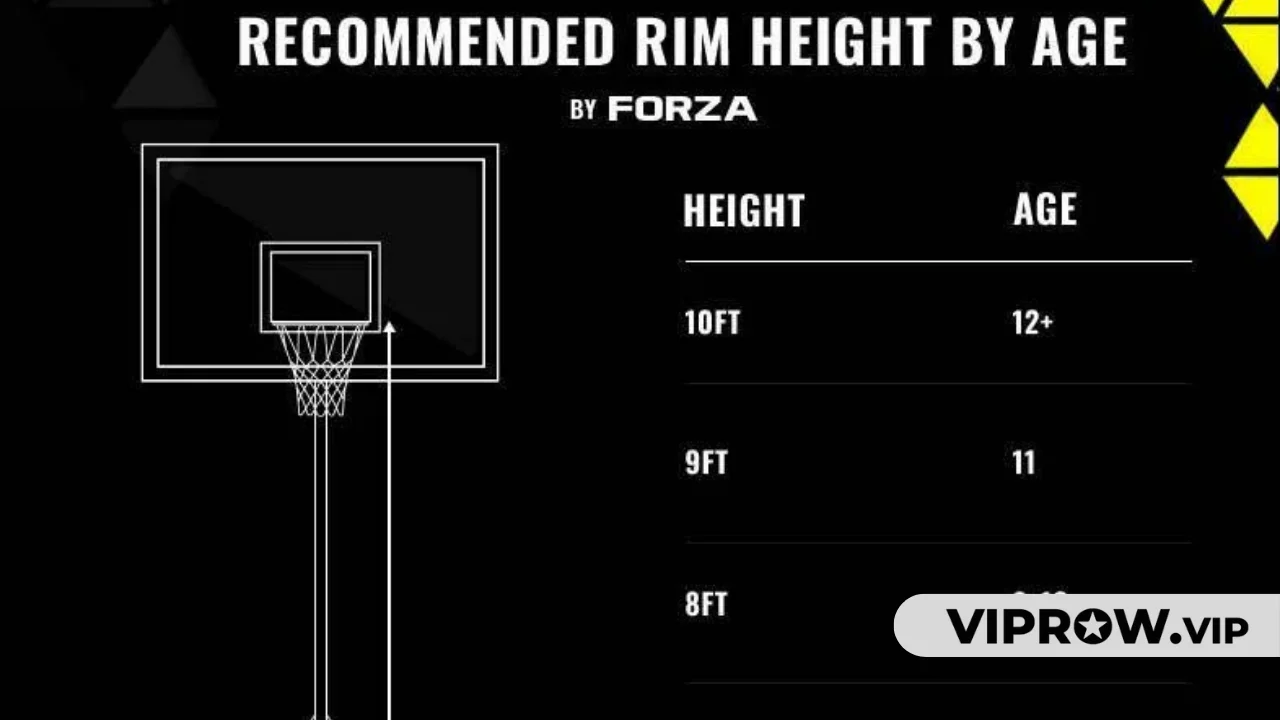 What Is the Official Height of a Basketball Hoop?