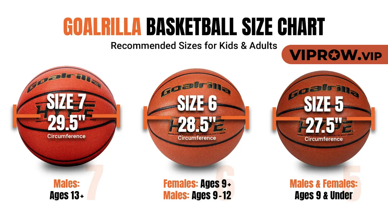 What Is a Size 7 Basketball